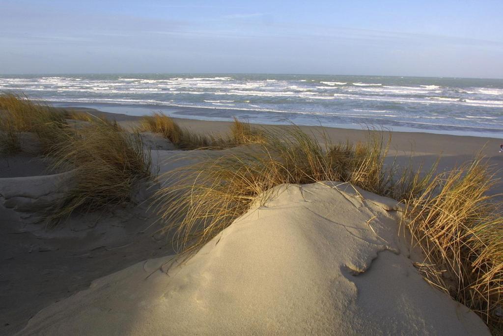 Logis Auberge De La Dune Le Crotoy Exterior foto